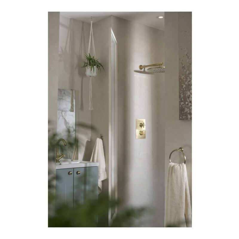 Abode Serenitie Concealed 2 Outlet Shower Antique Brass