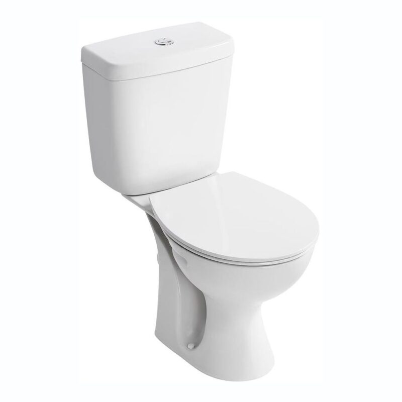 Armitage Shanks Sandringham 21 Cistern Bottom Inlet Dual Flush