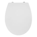 Armitage Shanks Sandringham 21 Wall Hung Toilet with Seat