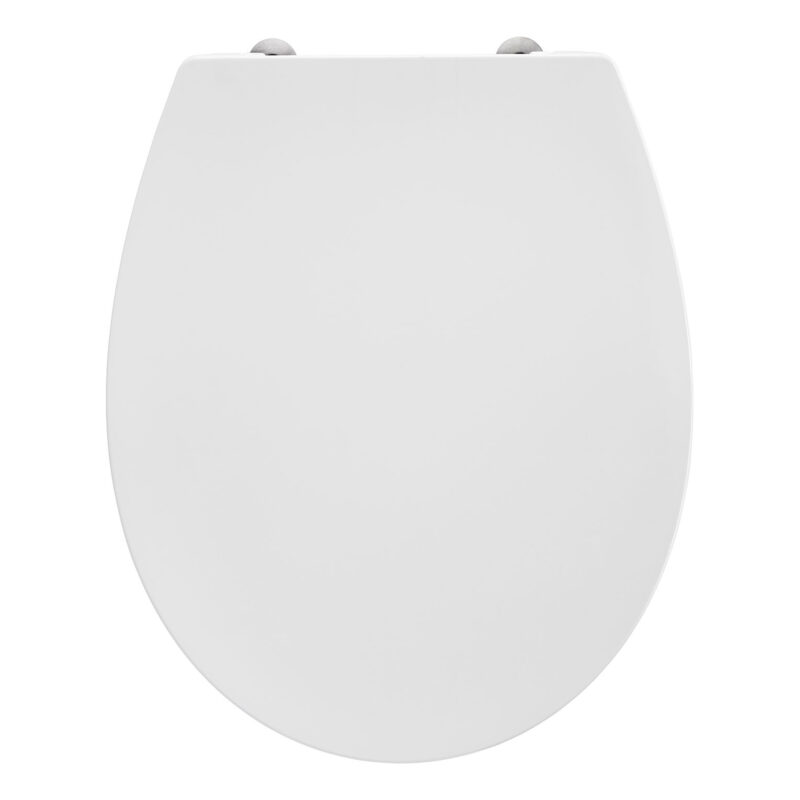 Armitage Shanks Sandringham 21 Wall Hung Toilet with Seat
