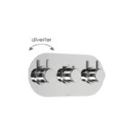 Cifial Technovation 35 3 Control Landscape Valve with Diverter