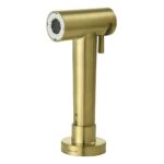 Clearwater Modern Pull Out Hand Spray Brushed Brass