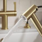Clearwater Modern Pull Out Hand Spray Brushed Brass