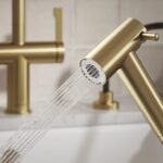 Clearwater Modern Pull Out Hand Spray Brushed Brass