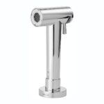 Clearwater Modern Pull Out Spray Chrome