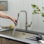 Clearwater Pioneer Kitchen Sink Mixer Tap with Pull Out Spray Brushed