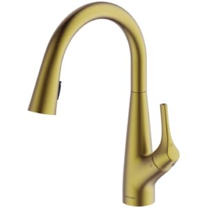 Clearwater Rosetta Pull Out Spray Filter Mixer Tap Brass