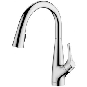 Clearwater Rosetta Pull Out Spray Filter & Mixer Tap Chrome