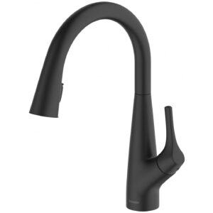 Clearwater Rosetta Pull Out Spray Filter Mixer Tap Black