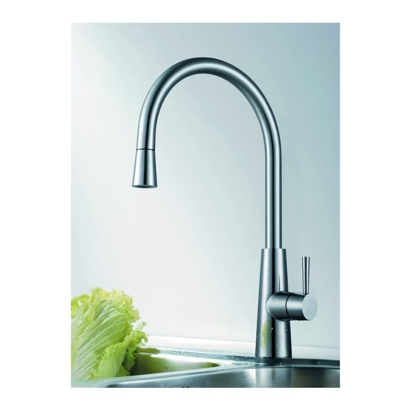 Clearwater Titania Mono Sink Mixer with Pull-Out Stainless Steel