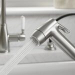 Clearwater Traditional Pull Out Kitchen Hand Spray Brushed Nickel