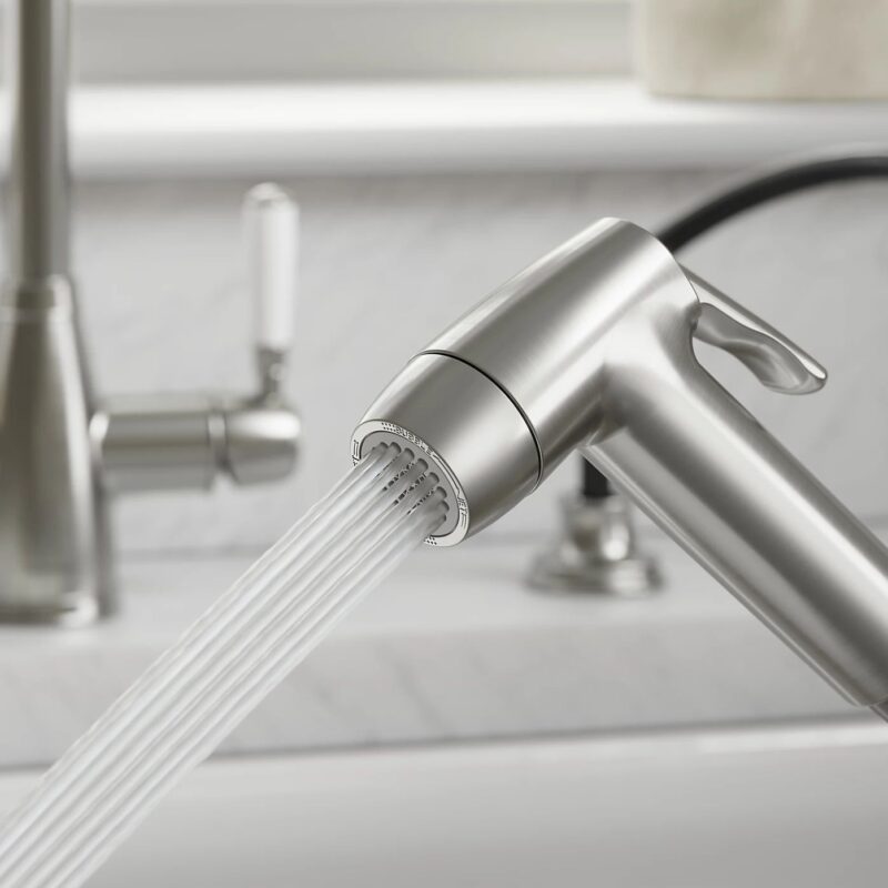 Clearwater Traditional Pull Out Kitchen Hand Spray Brushed Nickel