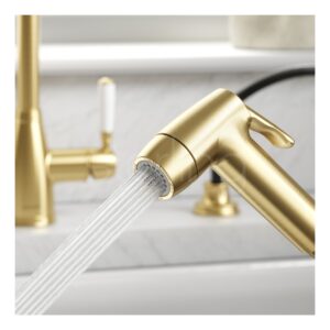 Clearwater Traditional Pull Out Kitchen Hand Spray Brushed Bronze