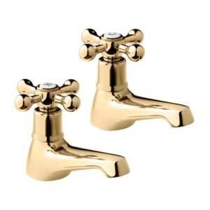 Deva Tudor Basin Taps Gold
