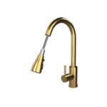 Ellsi Luxr Kitchen Mixer Tap with Pull Out Brushed Brass