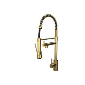 Ellsi Grande Sink Mixer with Spout & Directional Spray Brushed Brass