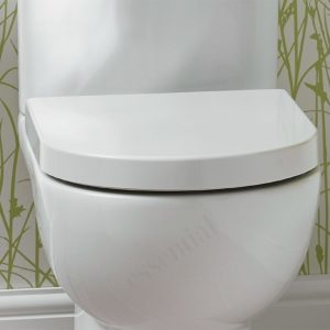 Essential Lily D Shape Soft Close Toilet Seat & Cover White