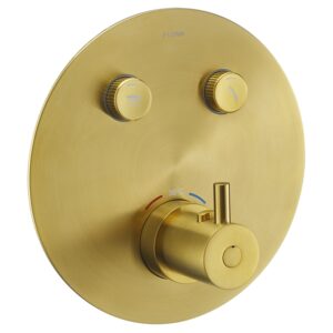Flova Levo 2-Outlet GoClick Shower Valve Finishing Set Round Brushed Gold