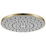 Flova Round 225mm ABS Rainshower Brushed Brass