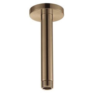 Flova 120mm Ceiling Mounted Shower Arm Brushed Bronze