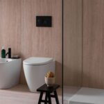 Geberit Sigma 20 Dual Flush Plate Black