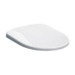 Geberit Selnova Back To Wall Rimfree Toilet with Soft Close Seat