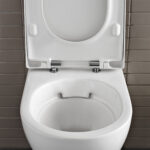 Geberit Aniara Rimless Wall Hung Pan & Soft Close Quick Release Seat Pack