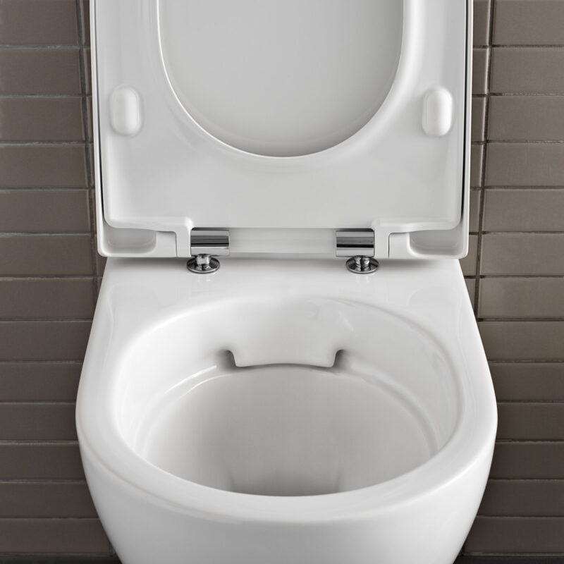 Geberit Aniara Rimless Wall Hung Pan & Soft Close Quick Release Seat Pack