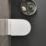Geberit Aniara Rimless Wall Hung Pan & Soft Close Quick Release Seat Pack