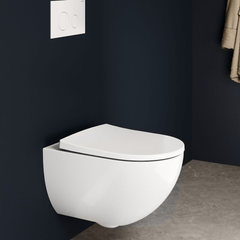 Geberit Aniara Rimless Wall Hung Pan & Soft Close Quick Release Seat Pack