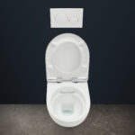 Geberit Aniara Rimless Wall Hung Pan & Soft Close Quick Release Seat Pack