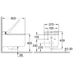 Grohe Sensia Arena Wall Hung Shower Toilet 39354