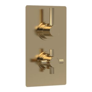 Hudson Reed Tec Pura Brushed Brass Twin Thermostatic Shower Valve
