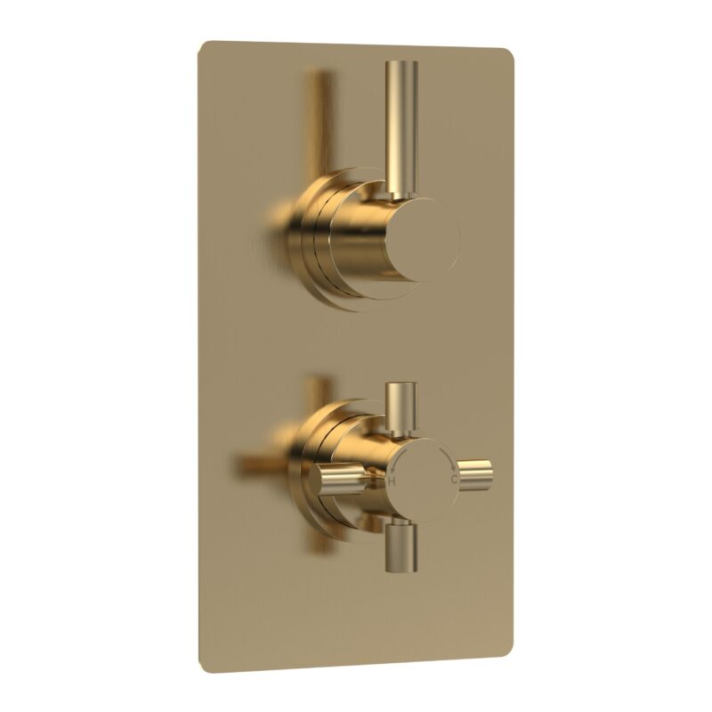 Hudson Reed Tec Pura Brushed Brass Twin Thermostatic Shower Valve Hudson Reed Tec Pura Brushed Brass Twin Thermostatic Shower Valve