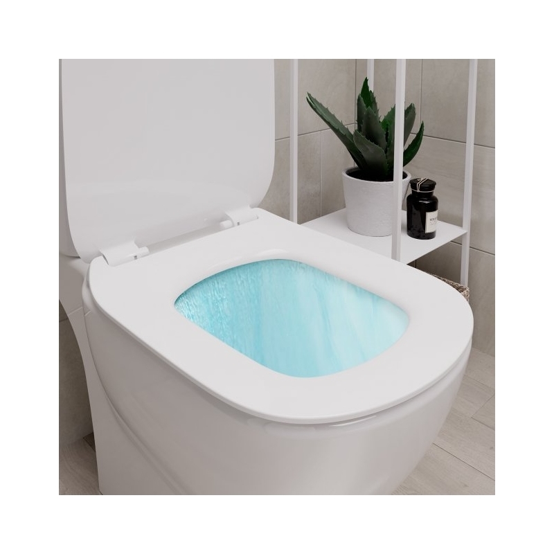 Ideal Standard Tesi Toilet with 4/2.6 Litre Cistern & Soft Close Seat