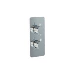 Imex Ravine Chrome 2-Handle 1-Outlet Concealed Shower Valve