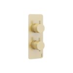 Imex Ravine Brushed Brass 2-Handle 2-Outlet Thermostatic Shower Valve
