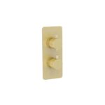 Imex Ravine Brushed Brass 2-Handle 2-Outlet Thermostatic Shower Valve