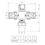Inta Intamix 2" Male BSP Thermostatic Mixing Valve