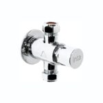 Inta Exposed Timed Flow Push Button Shower Control (30 Seconds)