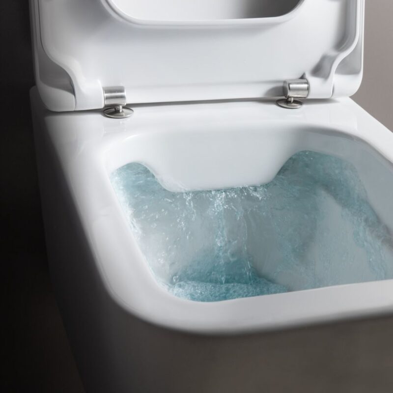 Laufen Pro S Toilet Seat & Cover White