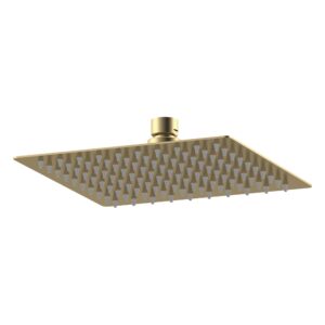 Nuie Brushed Brass Square Fixed Shower Head 200mm