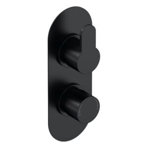 Nuie Arvan Matt Black Twin Thermostatic Shower Valve