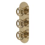 Nuie Revolution Brushed Brass Triple Concealed Shower Valve