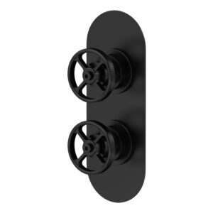 Nuie Revolution Matt Black Shower Valve