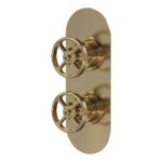 Nuie Revolution Brushed Brass Dual Control Shower Valve with Diverter