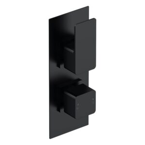 Nuie Windon Matt Black Thermostatic Shower Valve