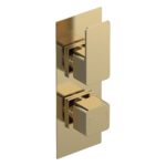 Nuie Windon Brushed Brass Twin Thermostatic Shower Valve