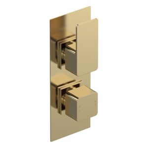 Nuie Windon Brushed Brass Twin Thermostatic Shower Valve with Diverter