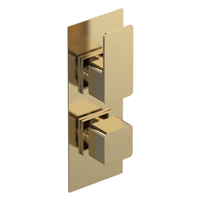 Nuie Windon Brushed Brass Twin Thermostatic Shower Valve with Diverter Nuie Windon Brushed Brass Twin Thermostatic Shower Valve with Diverter
